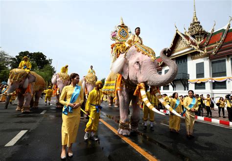 泰國大象寓意|泰國最神秘的「象」文化揭示，寓意完美